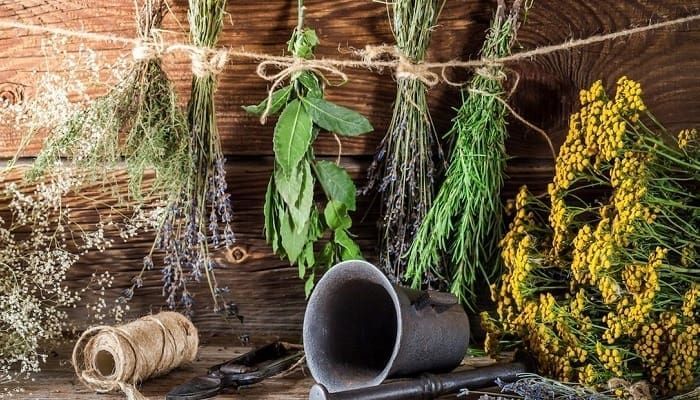 Nytårsritualer i Ecuador: Andinsk visdom til at afslutte og genfødes